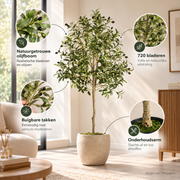 Kunst Olijfboom 150 cm – Kunstplant Olijfboom – Groen