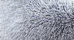 Huisdierbed Fluffy - Kat/Hond - 110x73 Cm - Wasbaar